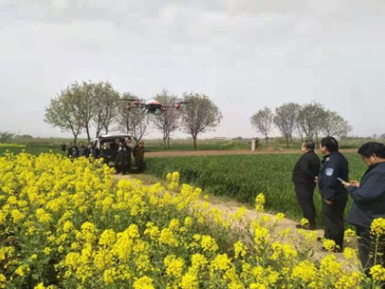 彬州：防治小麥條銹病 植保無人機大顯神威