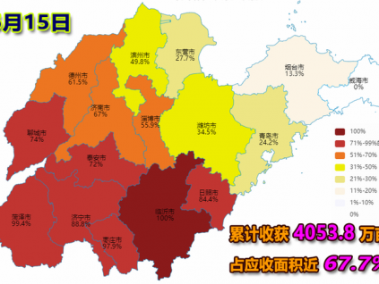 麥收快訊【6月15日】山東省各地夏收進度（圖）