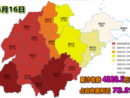 麥收快訊-【6月16日】山東省各地夏收進度（圖）