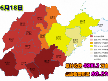 麥收快訊-【6月18日】山東省各地夏收進度（圖）