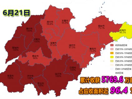 麥收快訊-【6月21日】山東省各地夏收進度（圖）