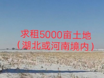 求租湖北河南境內5000畝土地種高粱，電話聯系