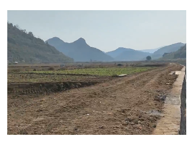 出租湖南江永700畝水澆地