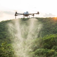 鄭州鞏義找飛機 日結 進場就干