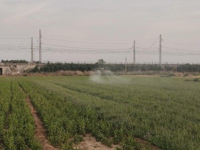 保定周邊吊運打藥撒肥隨叫隨到