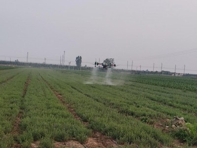 保定周邊吊運打藥撒肥隨叫隨到