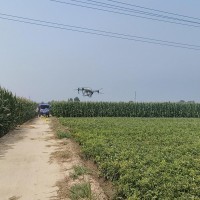 保定，北京周邊吊運打藥撒肥隨叫隨到